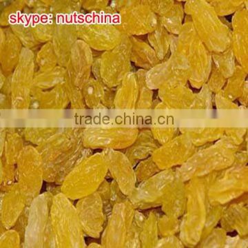 Xinjiang Golden Raisin