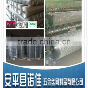 welded wire mesh(factory IS09001:2008)