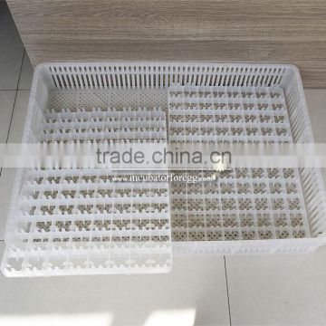 high quality egg tray cheap price egg tray plastic tray incubator chicken egg tray