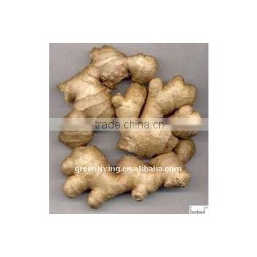 Dried ginger with a little pungent