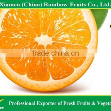 best price navel orange from Jiangxi area China