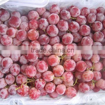 Xinjiang Red Globe grape