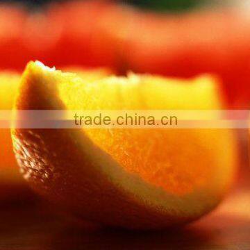 Summer Navel Orange For Export To Poland