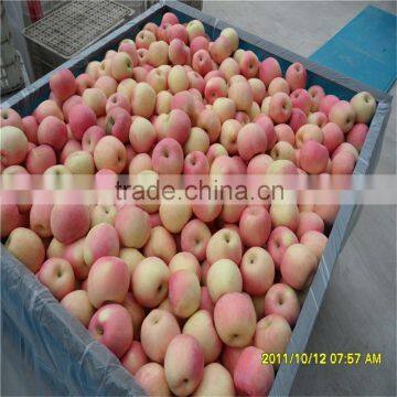 2014 New Chinese Fresh Red Fuji Apple photo-2
