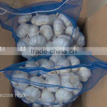 GLOBAL GAP PURE WHITE GARLIC