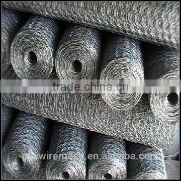 Chicken Coop Hexagonal Wire Mesh photo-2