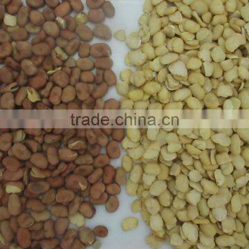 Excellent Quality CCD Grains Color Sorter Beans Color Sorter photo-3