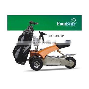 RACING GOLF CAR(SX-E0906) photo-3