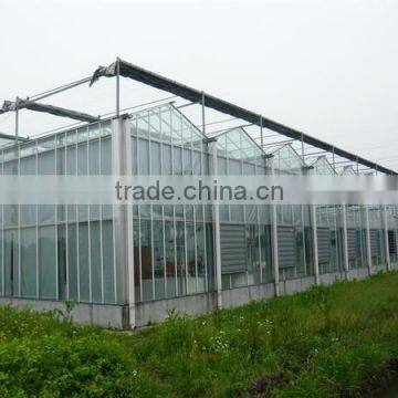 Agricultural Equipment Greenhouses Supply by Qingzhou Shuiwang Comapny photo-4