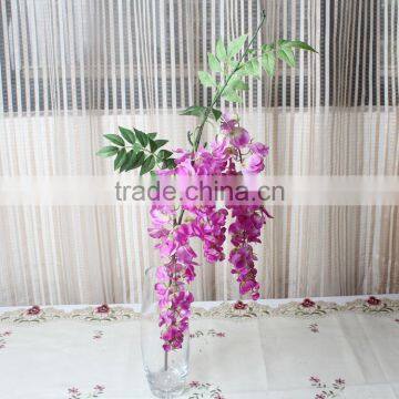 CHY012818 Wisteria Blossom Flower photo-5