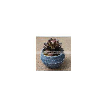 SJ10181201 Wholesale All Types Of Artificial Cactus Plants photo-3