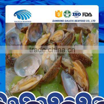 Frozen Fresh Boiled Short Neck Clam China Origin