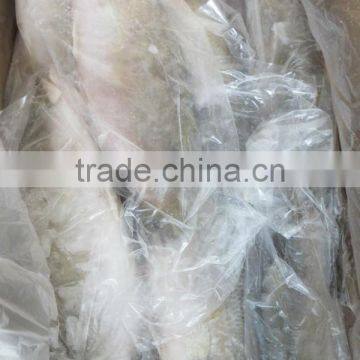 Frozen Sea Bass photo-2