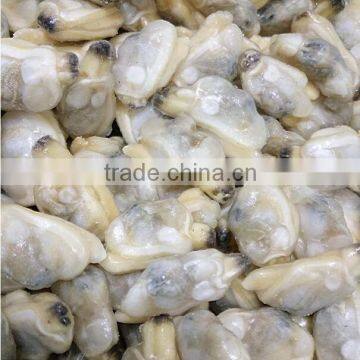 Good quality seafood frozen clam meat on sale