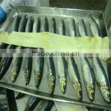 qality food with fresh frozen mackerel fish