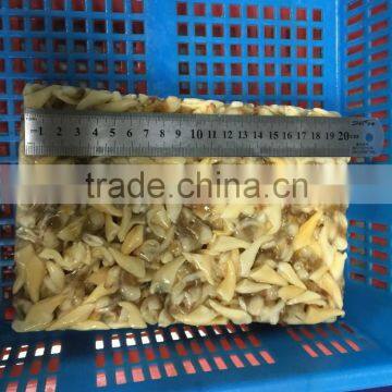 Frozen Yellow Clam Meat photo-6