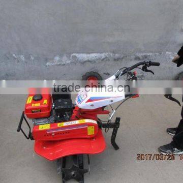 Agricultural Machinery/farm Equipment/mini Rotary Tiller photo-4