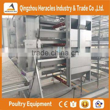 High Quality Chicken Farm Automatic Layer Poultry Equipment Chicken Cage for Sale photo-6