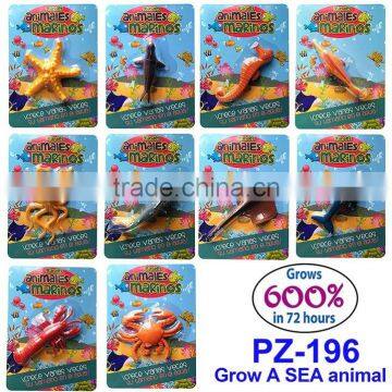 PZ-196 Magic Ocean Animal Water Growing Toys photo-3