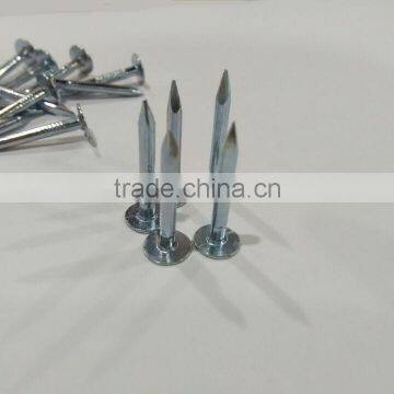 Galvanized Clout Nails With Flat Head photo-3