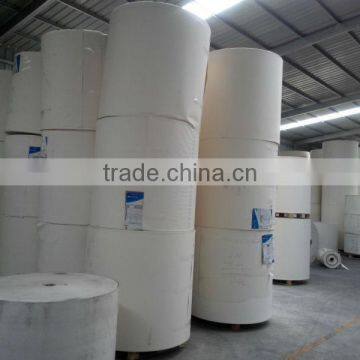 Single PE Coated Paper for Cup Making in Sheet photo-2