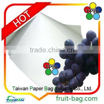 Taiwan Grape Growing Paper Bags to Cover Grapes Customized Protection Bag photo-2