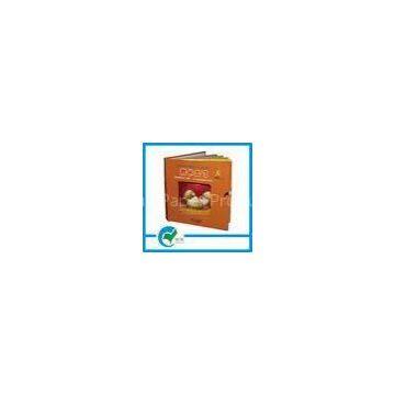 14 Pages Pantone Color Interesting Children Book Printing for Children Early Education