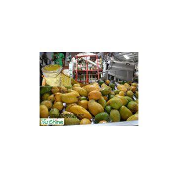 Mango processing machine/Mango peeler/ Mango Peeling Machinery