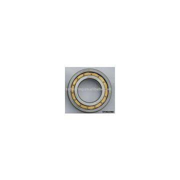 Cylindrical Roller Bearing