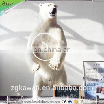 KAWAH Realistic Animal Model Life-Size Animatronic Polar Bear With Fur For Sale