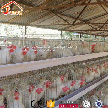 Automatic chicken egg layer cage galvanized weld wire laying hen cages high quality poultry cage for sale