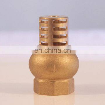 Brass Check Valve Foot Valve with Filter