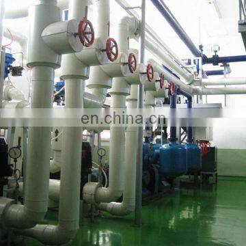 High Capacity Industrial Vacuum Freeze Drying Equipment for Freeze Dried Mango Processing photo-6