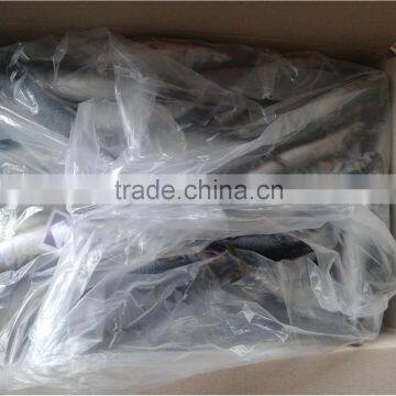 Frozen Fish (pacific Mackerel 200-300g) photo-5