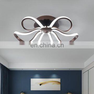 Simple Modern Led Ceiling Light for Living Room photo-3