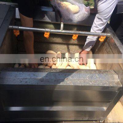 Factory Price High Efficiency Fruit and Vegetable Peeler Machine photo-3