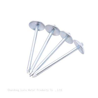 Galvanized Umbrella Head Roofing Nails South Africa photo-4