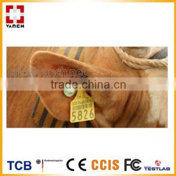 UHF RFID ear tag for cow tracking