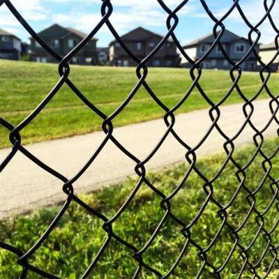 Galvanized Chain Link Fence With 2.5mm Wire Diameter and 50mm Mesh Size photo-4