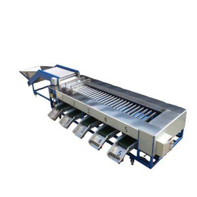 New Offer Prune Sorting Machine