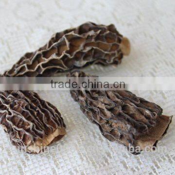 Market Prices for Morel Mushroom