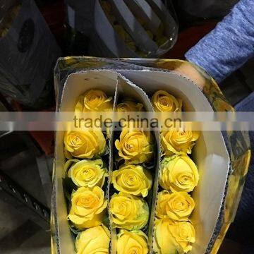 Top Quality Most Popular Gold Plated Gift Rose photo-4