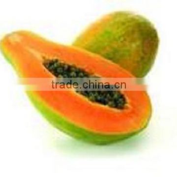 Vietnam Papaya