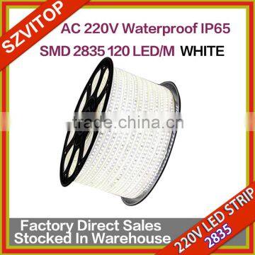 SV 220V IP65 2835Flexible Rope LED Strip WHITE Party Xmas Lamp BLUE 220V2835 120LEDS/M