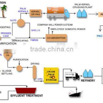 Fresh Plam Fruit Bunch Oil Processing Equipment,palm Oil Plant Machinery photo-3