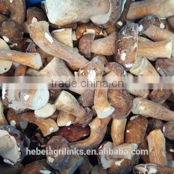 Frozen style boletus edulis whole A grade