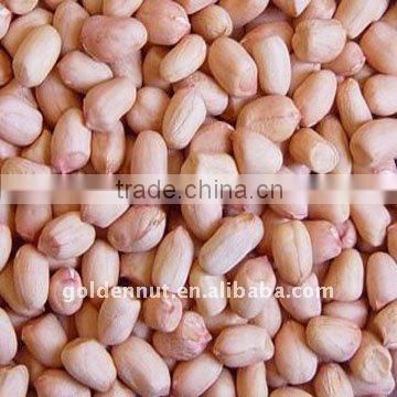 Groundnuts