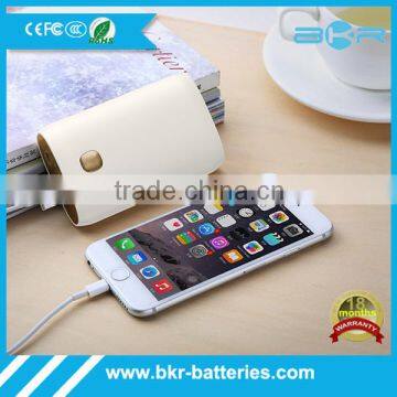 2-Output Portable External Power Bank Battery Charger Pack for IPhone 6/5/4/iPad/iPod/Samsung Devices/Smart Phones/Tablet