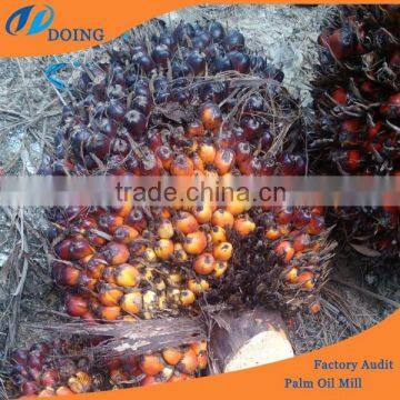 oil machine | palm oil expeller machine