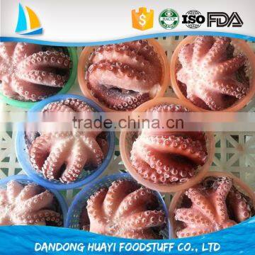 High quality seafood octopus